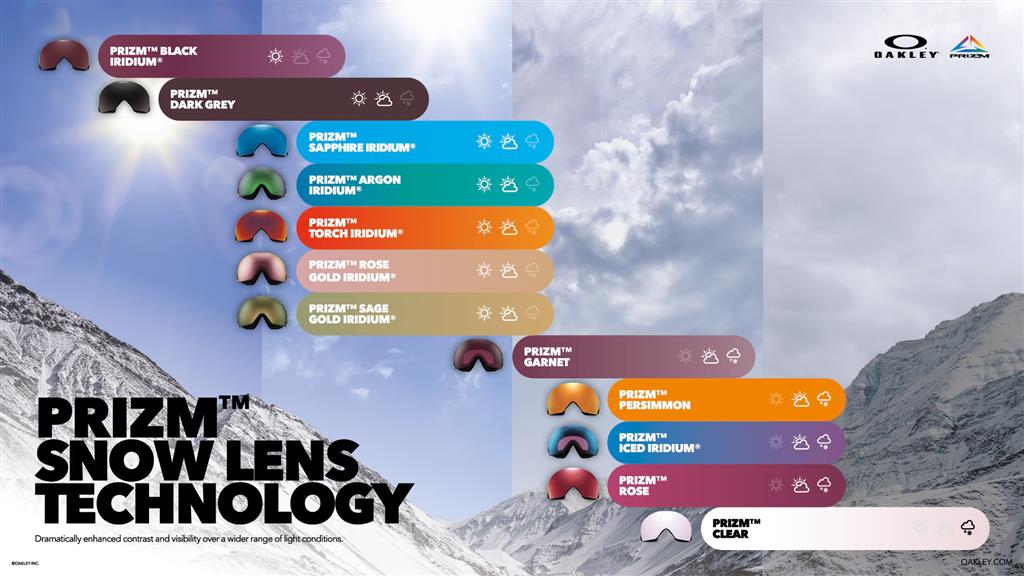 Oakley Prizm Flight Path L Goggle | Skis.com