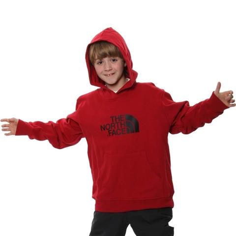 The North Face Logo Pullover Hoodie - Boy's