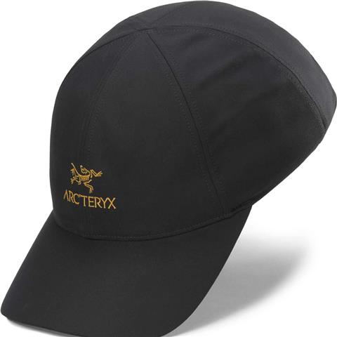 Arc'teryx Bird Word Trucker Hat