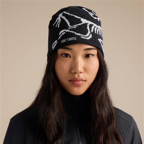 Arc'teryx Bird Head Toque