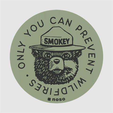 NoSo Patch - Smokey Bear Collection