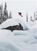 Burton Family Tree Hometown Hero Snowboard - Unisex - Family Tree
