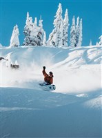Burton Family Tree Hometown Hero Snowboard - Unisex - X-Ray