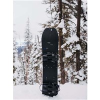 Burton Family Tree Hometown Hero Split Board - Unisex