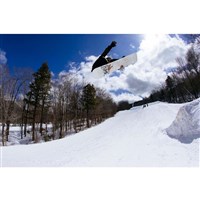 Rome Rene Pro Stay Positive Camber Snowboard - Men's