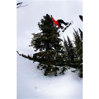 Rome Viper Pro Fusion Camber Snowboard - Men's