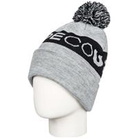 DC Chester Beanie - Youth - Frost Gray