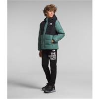 The North Face North Down Fleece-Lined Parka - Boy's