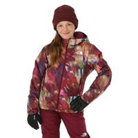 The North Face Freedom Insulated Jacket - Girl's - Boysenberry Paint Lightening Small Print