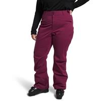THE NORTH FACE Women's Sally Insulated Snow Pants - Regular, TNF Black,  X-Small Regular : : Clothing, Shoes & Accessories