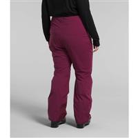 The North Face Plus Freedom Stretch Pant - Women's - Boysenberry