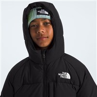 The North Face North Down Hooded Jacket - Boy's - TNF Black