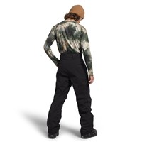 The North Face Freedom Stretch Pant - Men's - TNF Black (NPF)