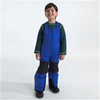 The North Face Freedom Insulated Bib - Youth - TNF Blue