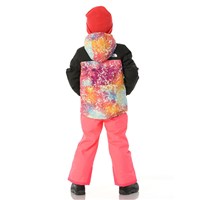 The North Face Freedom Insulated Jacket - Youth - Radiant Poppy Blowing Wind Print