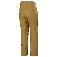 Helly Hansen Sogn Cargo Pant - Men's - Lynx