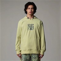 The North Face Tekno Logo Hoodie - Men's - Nettle