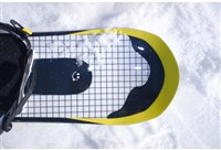 Bataleon Evil Twin Snowboard - Men's