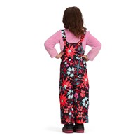 Obermeyer Snoverall Print Bib Pant - Girl's - Mary Garden