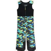 Spyder Expedition Pants - Toddler - Cobalt Mountain Clouds
