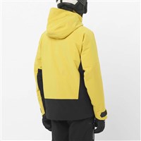 Salomon Brilliant 2.0 Jacket - Men's - Cress Green / Deep Black - MODEL BACK