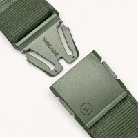 Arcade Atlas Belt - Forest