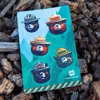 NoSo Patch - Smokey Bear Collection - Smokey Bear Dazzits