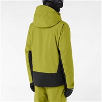 Salomon Brilliant 2.0 Jacket - Men's - Cardamon Seed / Deep Black - back