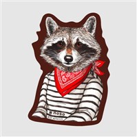 NoSo Patch - Rachel Kozlowski Collection - Raccoon Bandit