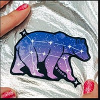 NoSo Patch - Assorted Collection - Ursa Major