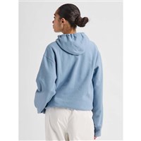 Burton Family Tree Pullover Hoodie - Men's - Airstream Blue