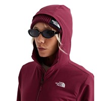 The North Face Shelbe Raschel Hoodie - Women's - Burgundy Crush