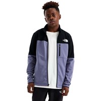 The North Face Teen Hike Mid Layer Full Zip - Boy's - Grounded Plum / TNF Black