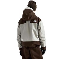 The North Face GTX Hex Jacket - Men's - Stone Slab / Dark Chestnut
