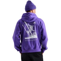 The North Face Tested And Proven Relaxed Hoodie - Unisex - Peak Purple