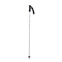 K2 4 Speed Poles - Silver