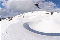 Lib Tech TRS Snowboard - Men's