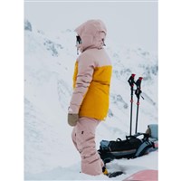 Burton [ak] Embark GORE-TEX 2L Jacket - Women's - Shadow Pink / Golden Rod