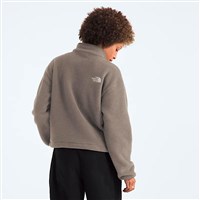 The North Face Fleeski 1/4 Zip Pullover - Women's - Mocha Brown
