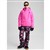 Shockwave Pink