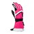 Magenta / White