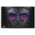 Bad Kitty