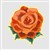 Orange Rose