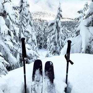 Tyrolia Ski Bindings